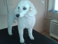 /album/fenykepgaleria/a2014-02-13-15-39-49-jpg1/